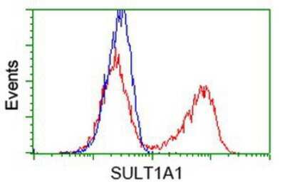 Flow Cytometry: Cytosolic Sulfotransferase 1A1/SULT1A1 Antibody (OTI9B7) [NBP2-03227]