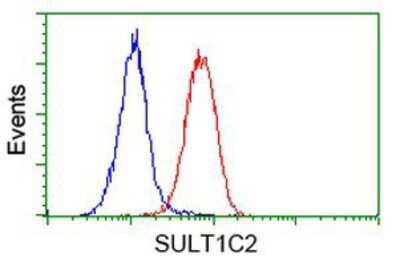 Flow Cytometry: Cytosolic Sulfotransferase 1C2/SULT1C2 Antibody (OTI4G1) [NBP2-00486]