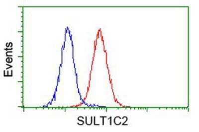 Flow Cytometry: Cytosolic Sulfotransferase 1C2/SULT1C2 Antibody (OTI4G1) [NBP2-00486]