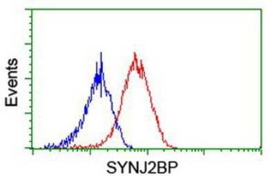 Flow Cytometry: SYNJ2BP/ARIP2 Antibody (OTI3A9) [NBP2-01601]