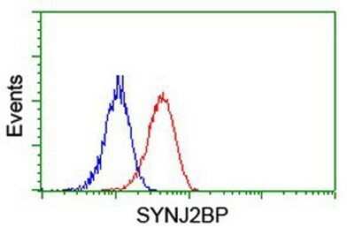 Flow Cytometry: SYNJ2BP/ARIP2 Antibody (OTI3A9) - Azide and BSA Free [NBP2-74417]