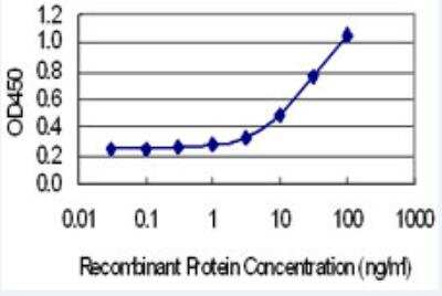 ELISA: SYT7 Antibody (4H4) [H00009066-M01-100ug]