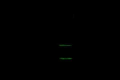 Western Blot: SZRD1 Antibody [NBP2-99181]
