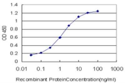ELISA: Sec8 Antibody (4F1) [H00060412-M06]