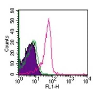 Flow (Cell Surface): Semaphorin 4D/CD100 Antibody (A8) - Azide and BSA Free [NBP2-36736]