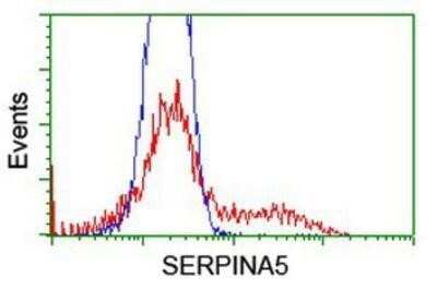 Flow Cytometry: Serpin A5/Protein C Inhibitor Antibody (OTI2D10) - Azide and BSA Free [NBP2-74101]