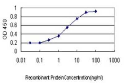 ELISA: Serpin B3/SCCA1 Antibody (2F5) [H00006317-M01]