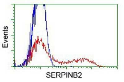 Flow Cytometry: SerpinB2 Antibody (OTI1G3) - Azide and BSA Free [NBP2-74131]