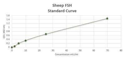 ELISA: Sheep FSH ELISA Kit (Colorimetric) [NBP2-60023]