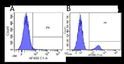 Flow Cytometry: Siglec-2/CD22 Antibody (hL22 (Epratuzumab)) - Chimeric - Azide and BSA Free [NBP2-75189]