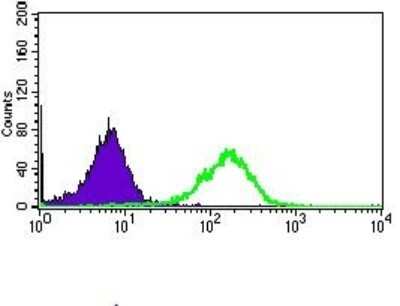 Flow Cytometry: Siglec-3/CD33 Antibody (2C6B7) - BSA Free [NBP2-37388]