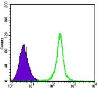 Flow Cytometry: Sirtuin 1/SIRT1 Antibody (1F3) - BSA Free [NBP1-51641]