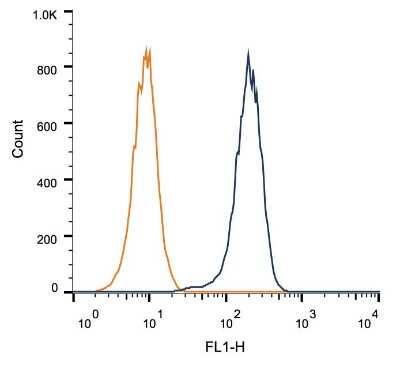 Flow Cytometry: Sirtuin 1/SIRT1 Antibody (1F3) - BSA Free [NBP1-51641]