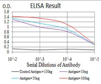 ELISA: Sirtuin 3/SIRT3 Antibody (6C12D1) - BSA Free [NBP2-52562]