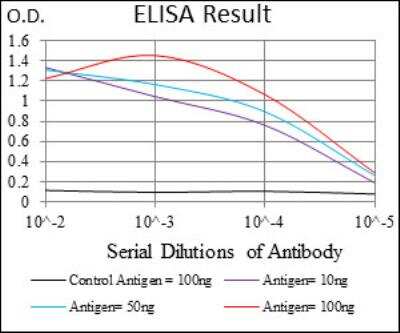 ELISA: Slug Antibody (4B6D5) - BSA Free [NBP2-52570]