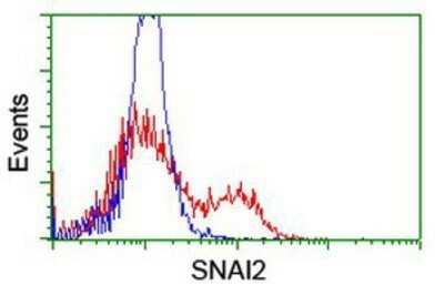Flow Cytometry: Slug Antibody (OTI1A6) - Azide and BSA Free [NBP2-74229]