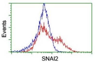 Flow Cytometry: Slug Antibody (OTI2B11) [NBP2-45980]