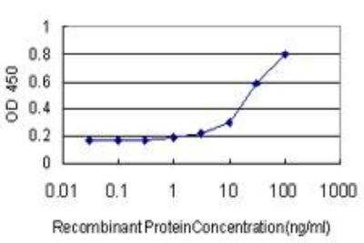 ELISA: Smad1 Antibody (2E9) [H00004086-M03]