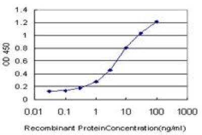 ELISA: Smad5 Antibody (3A10) [H00004090-M03]