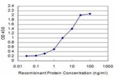 ELISA: Smad5 Antibody (5E12) [H00004090-M08]