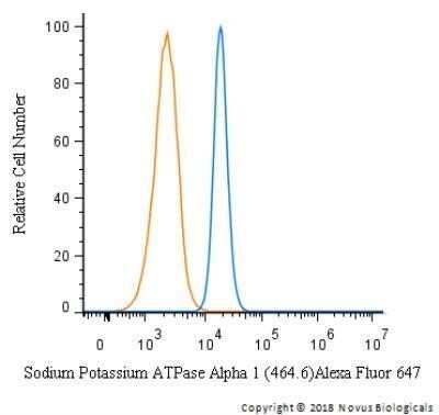Flow Cytometry: Sodium Potassium ATPase Alpha 1 Antibody (464.6) - Azide and BSA Free [NBP2-80956]