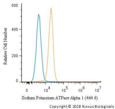 Flow Cytometry: Sodium Potassium ATPase Alpha 1 Antibody (464.6) - BSA Free [NBP2-61137]