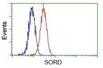 Flow Cytometry: Sorbitol Dehydrogenase Antibody (OTI9E7) [NBP2-02126]