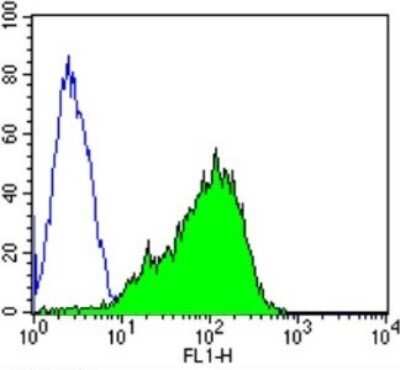 Flow Cytometry: Spectrin beta 1 Antibody (4C3) [NB300-574]