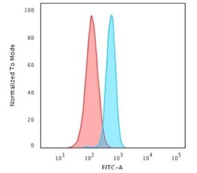 Flow Cytometry: Spectrin beta 3 Antibody (SPTBN2/1582) [NBP2-53236]