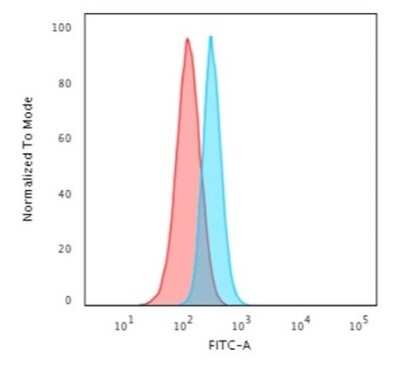 Flow Cytometry: Spectrin beta 3 Antibody (SPTBN2/1584) [NBP2-53315]