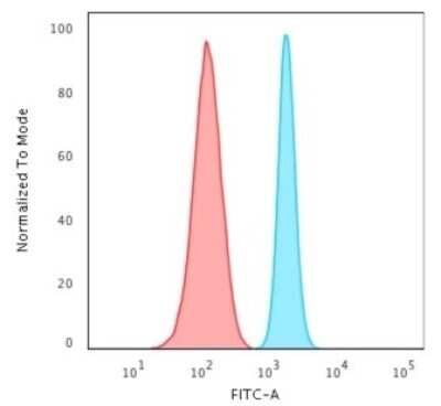 Flow Cytometry: Spectrin beta 3 Antibody (SPTBN2/2887R) - Azide and BSA Free [NBP3-08441]
