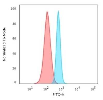 Flow Cytometry: Spectrin beta 3 Antibody (SPTBN2/3142R) [NBP3-07294]