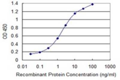 ELISA: Spermine synthase Antibody (1G6) [H00006611-M01]