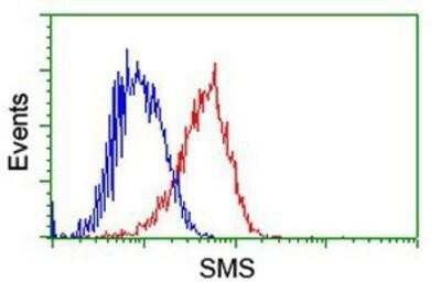 Flow Cytometry: Spermine synthase Antibody (OTI3C9) - Azide and BSA Free [NBP2-74318]