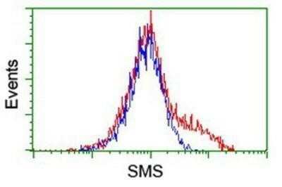 Flow Cytometry: Spermine synthase Antibody (OTI3C9) - Azide and BSA Free [NBP2-74318]