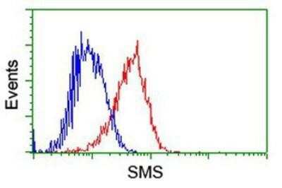 Flow Cytometry: Spermine synthase Antibody (OTI3C9) [NBP2-00900]