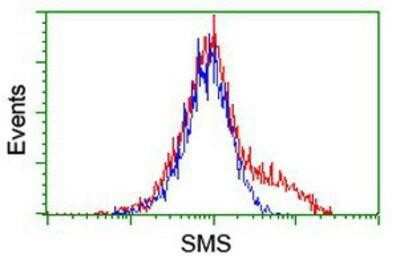 Flow Cytometry: Spermine synthase Antibody (OTI3C9) [NBP2-00900]