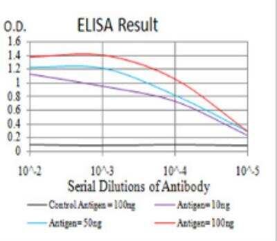 ELISA: Sphingosine Kinase 2/SPHK2 Antibody (9C5E1) - BSA Free [NBP2-52567]