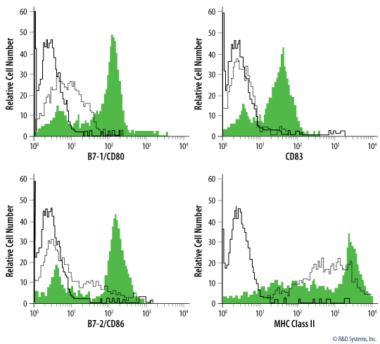 Phenotypic Analysis of Cultured Monocyte-derived Dendritic Cells Before and After LPS-induced Maturation. 