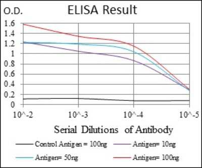 ELISA: Survivin Antibody (1H5) - BSA Free [NBP2-22188]