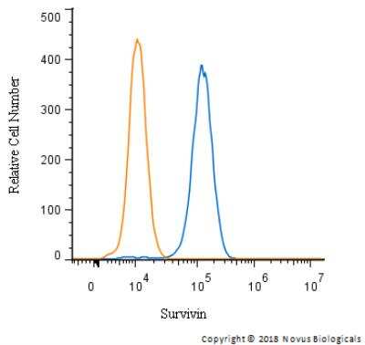 Flow Cytometry: Survivin Antibody - BSA Free [NB500-201]