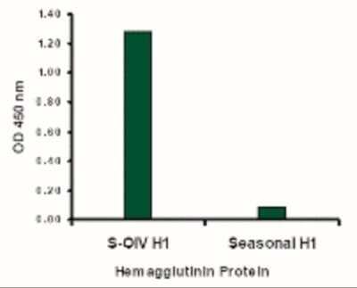 ELISA: Swine Influenza A H1N1 Hemagglutinin Antibody - BSA Free [NBP2-41105]