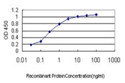 ELISA: Symplekin Antibody (4C2) [H00008189-M03]