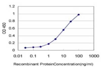 ELISA: Synaptojanin 1 Antibody (1A2) [H00008867-M01]