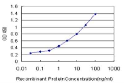 ELISA: Synaptotagmin 4 Antibody (5F8) [H00006860-M04]
