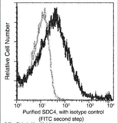Flow Cytometry: Syndecan-4 Antibody (112) [NBP2-90701]