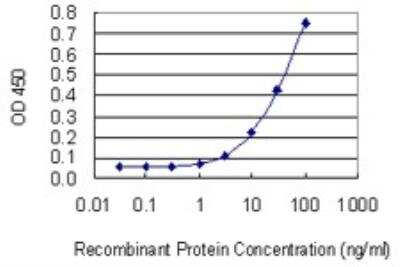 ELISA: Syntaxin 5 Antibody (5A6) [H00006811-M01]