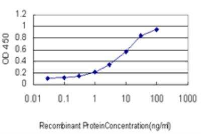 ELISA: Syntaxin 6 Antibody (1G2) [H00010228-M01]