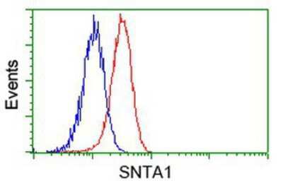 Flow Cytometry: Syntrophin alpha 1 Antibody (OTI1H10) [NBP2-03302]