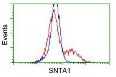 Flow Cytometry: Syntrophin alpha 1 Antibody (OTI1H10) [NBP2-03302]